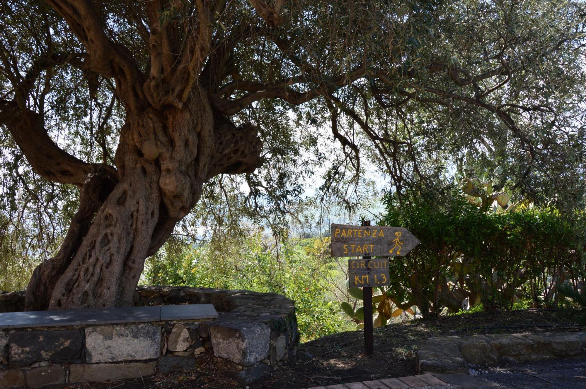 Antico Borgo Etneo Country Hotel Calatabiano Exterior photo